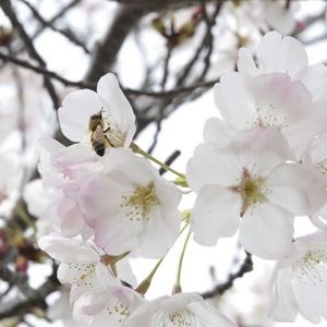 Meet your Posher, Marsha